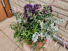 楽しいガーデニング講座～春を映す小さなよせうえ～